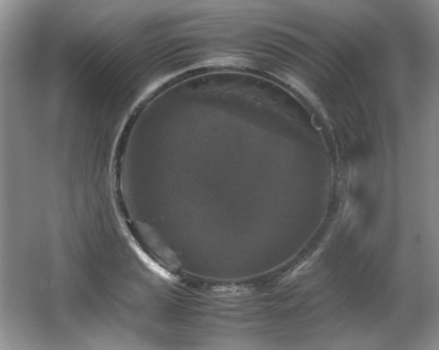 X0000066001037200603061318