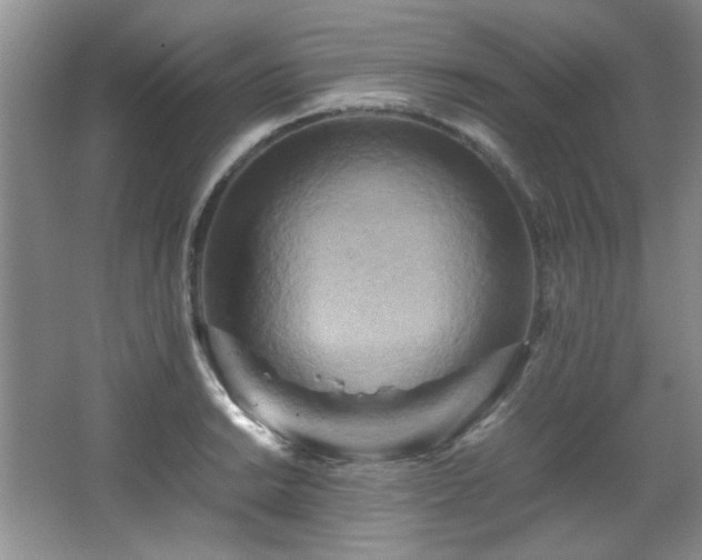 X0000066001038200603061318