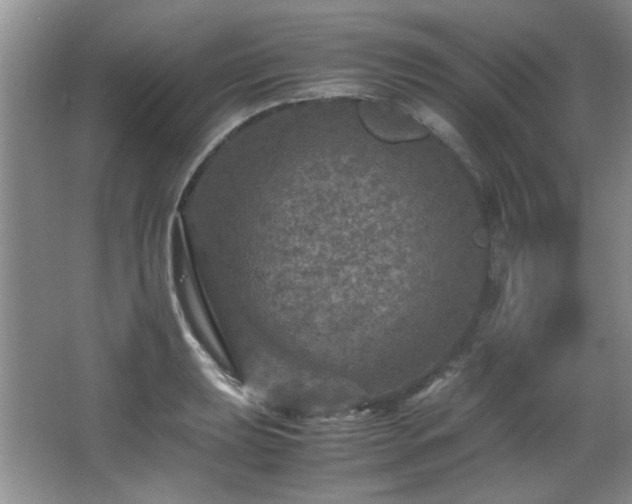 X0000066001039200603061318