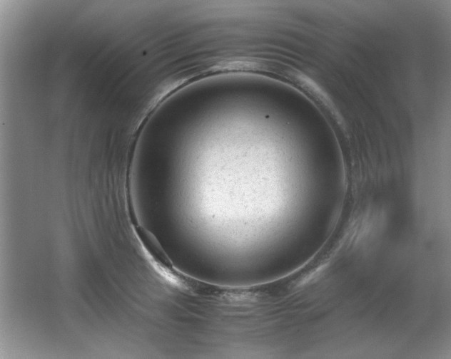 X0000066001041200603061318