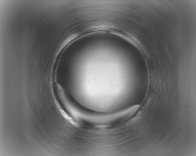 X0000066001042200603061318