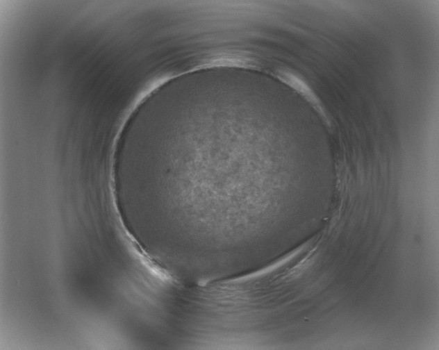 X0000066001043200603061318