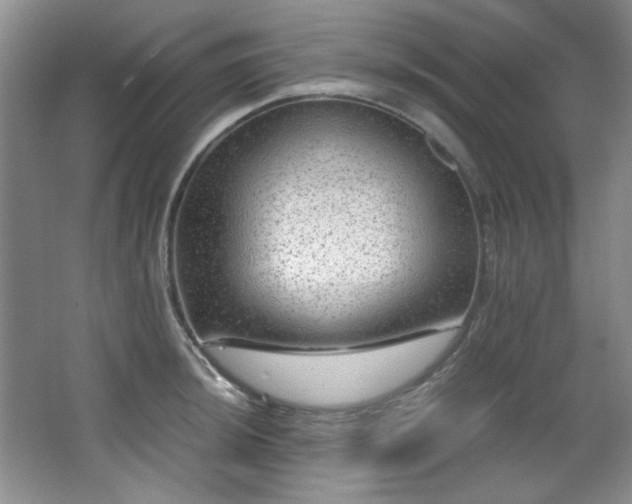 X0000066001044200603061318