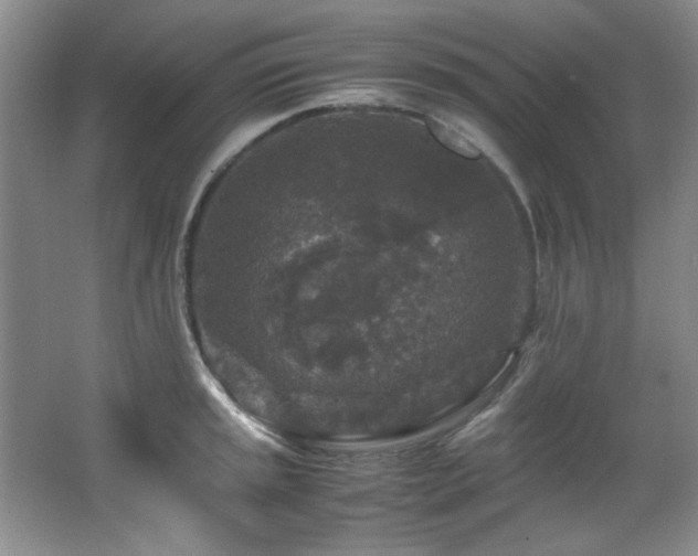 X0000066001045200603061318