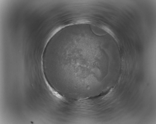 X0000066001047200603061318