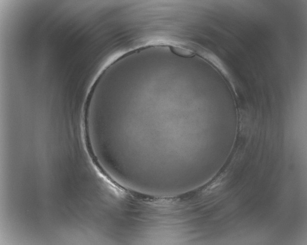 X0000066001048200603061318