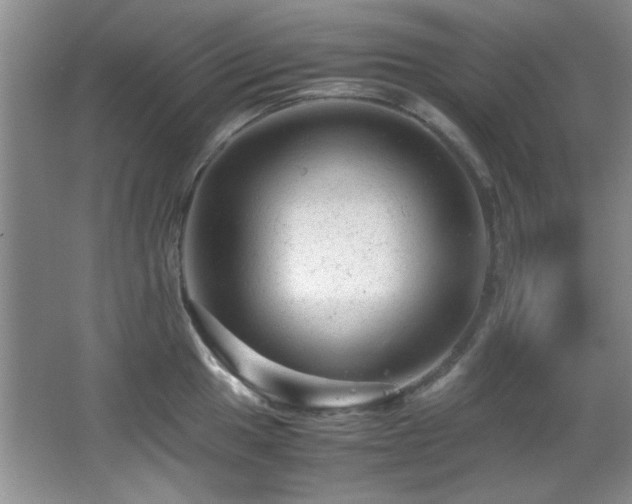 X0000066001049200603061318