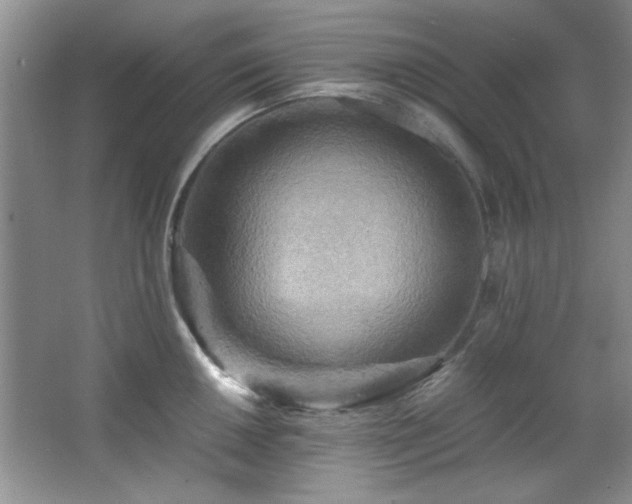 X0000066001050200603061318