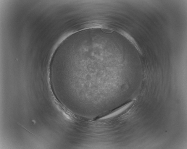 X0000066001051200603061318