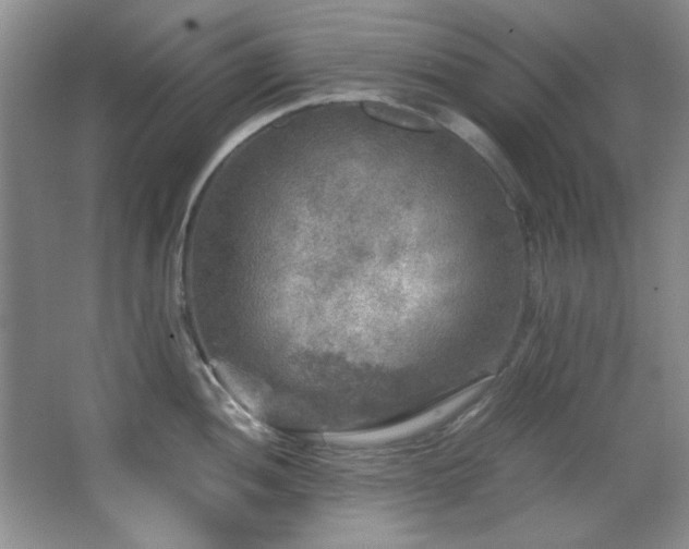 X0000066001052200603061318