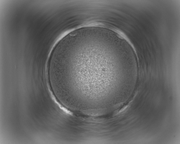 X0000066001053200603061318