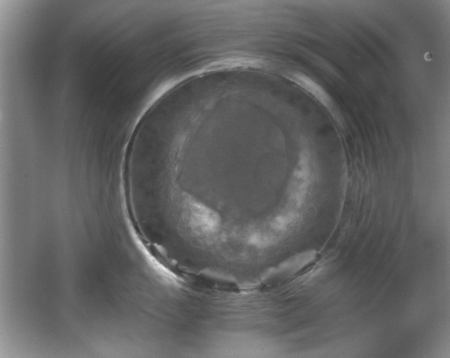 X0000066001055200603061318