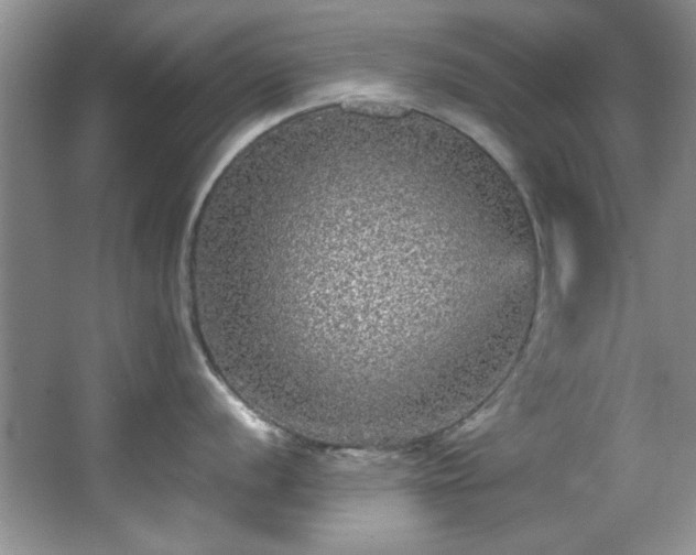 X0000066001056200603061318