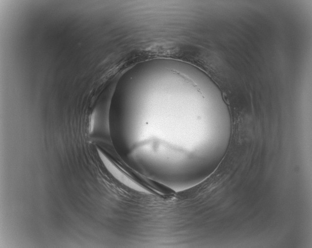 X0000066001058200603061317