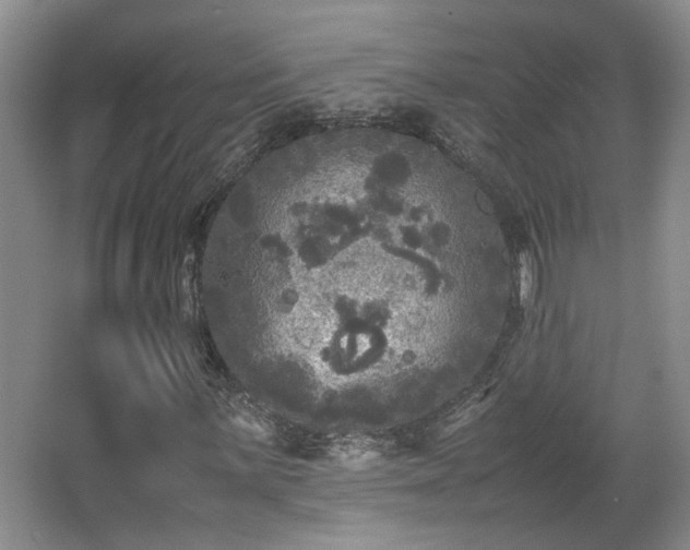 X0000066001059200603061317