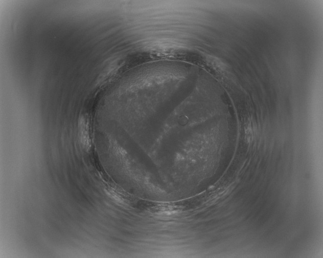 X0000066001060200603061317