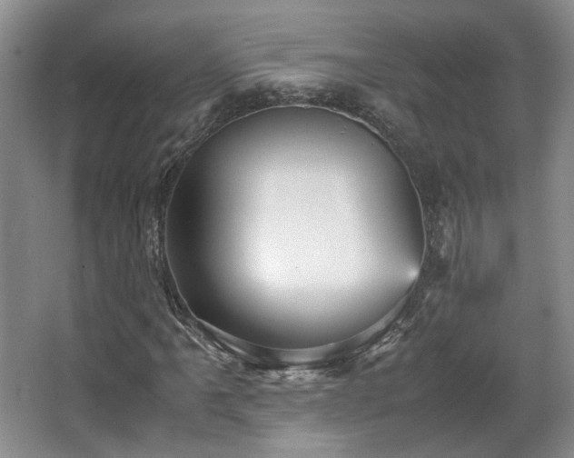 X0000066001061200603061317