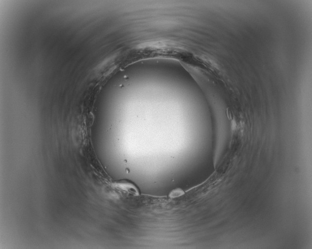 X0000066001062200603061317