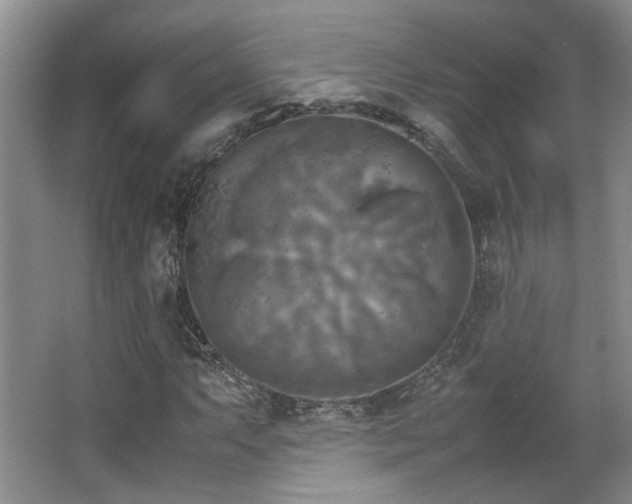 X0000066001063200603061317