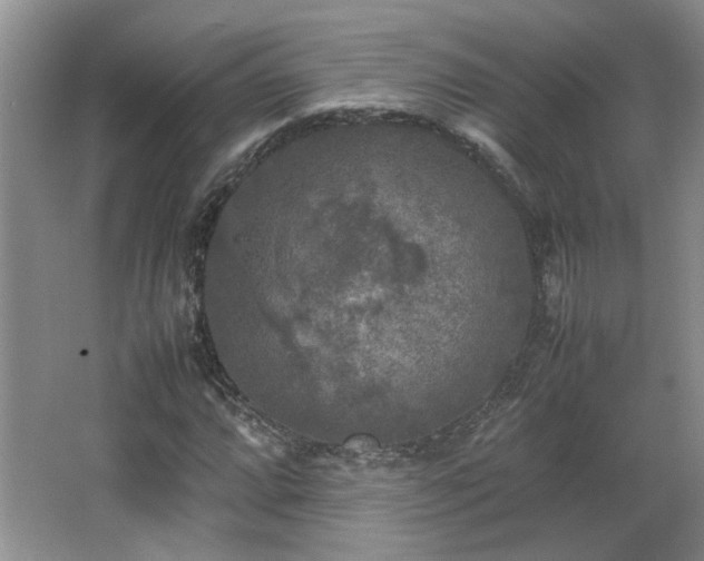 X0000066001064200603061317