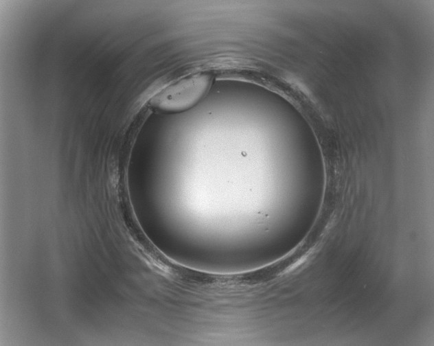 X0000066001065200603061317