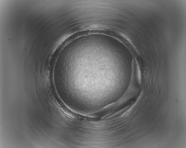 X0000066001066200603061317