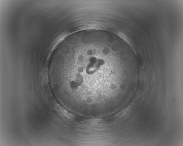 X0000066001067200603061317