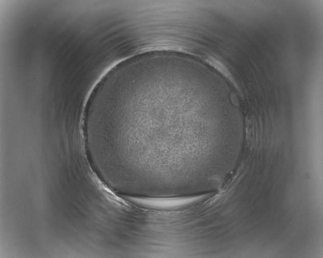 X0000066001068200603061317