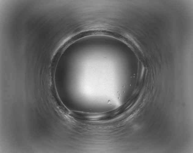 X0000066001069200603061317