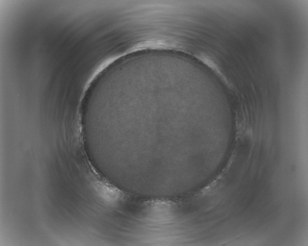 X0000066001070200603061317