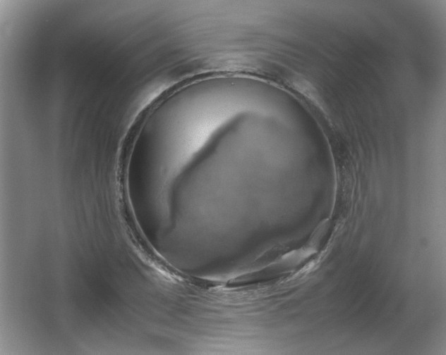 X0000066001071200603061317