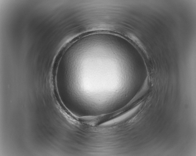 X0000066001072200603061317