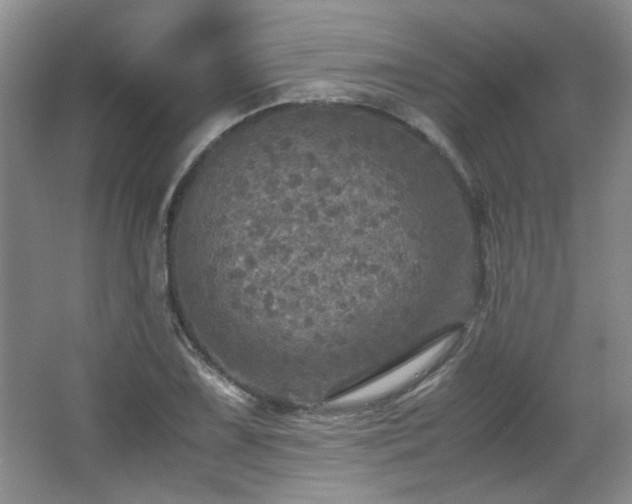 X0000066001075200603061317