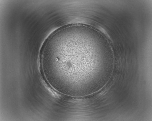 X0000066001076200603061317