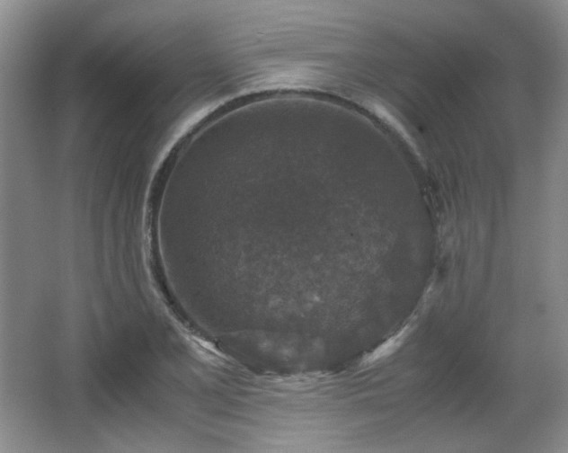 X0000066001077200603061317