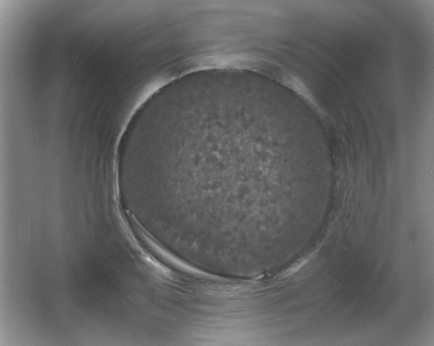 X0000066001079200603061317