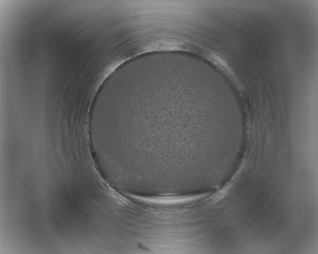 X0000066001081200603061317