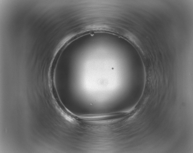 X0000066001082200603061317