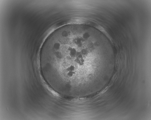 X0000066001083200603061317