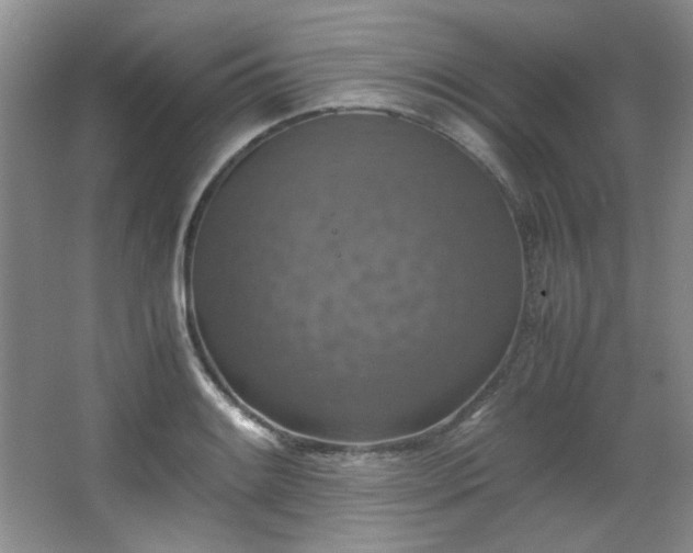 X0000066001084200603061317