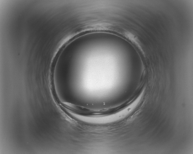 X0000066001085200603061317