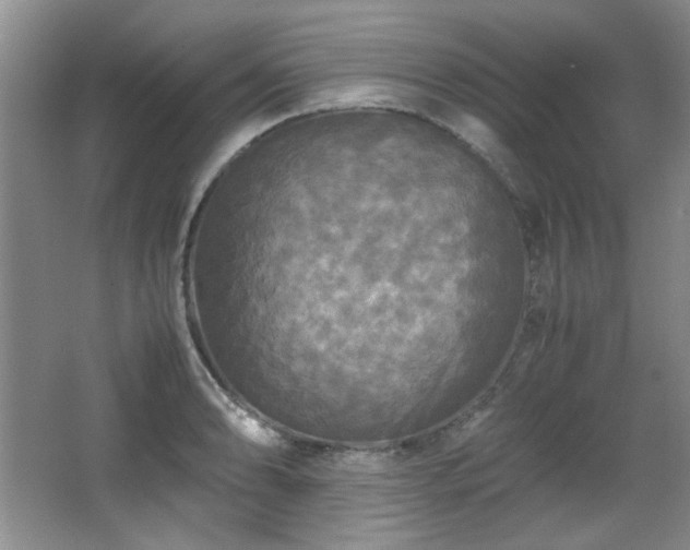 X0000066001086200603061317