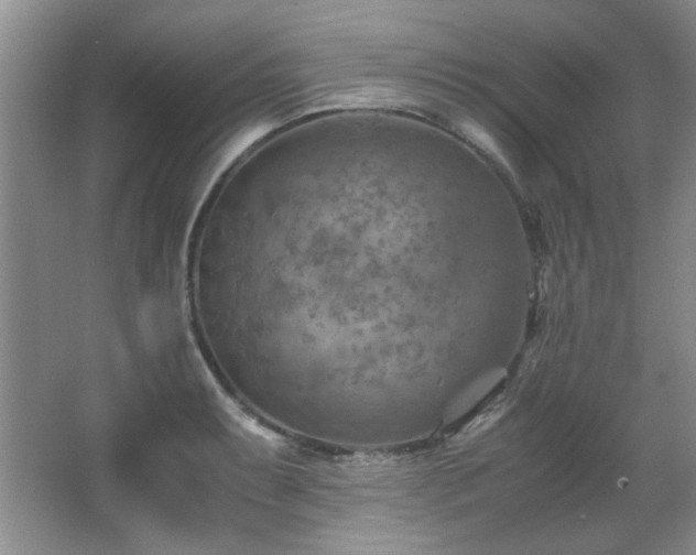 X0000066001087200603061317