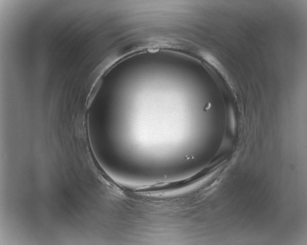 X0000066001089200603061317