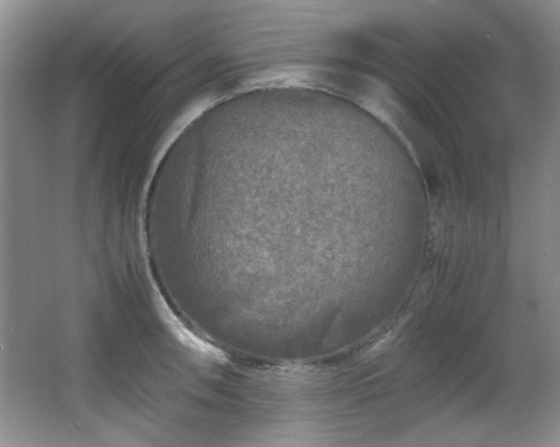 X0000066001090200603061317