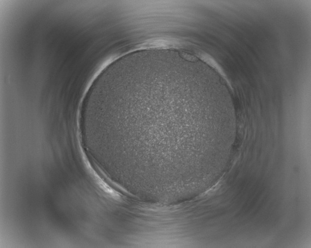 X0000066001091200603061317