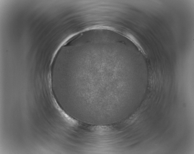 X0000066001092200603061317