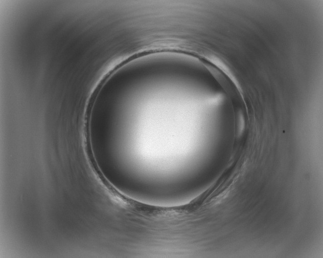 X0000066001093200603061317