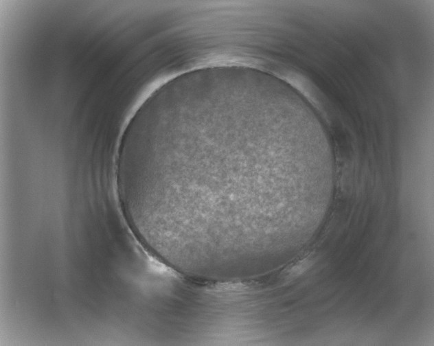 X0000066001094200603061317