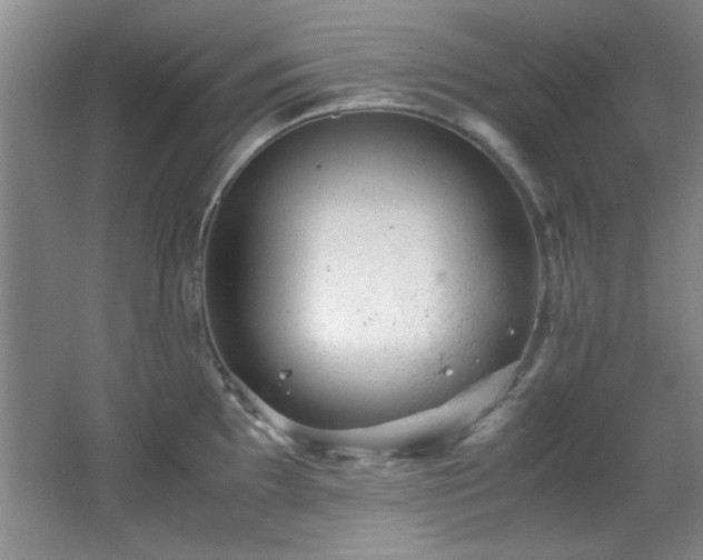 X0000066001097200603061317